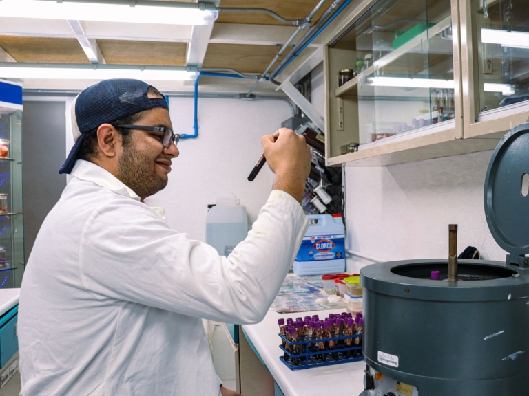 Yale araştırmacıları akciğer dokusunda RNA analizini iyileştirdi